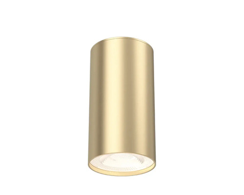 Spot aplicat Braytron GU10 max. 1x35W Ø55mm, auriu Lumină de tavan cilindrică