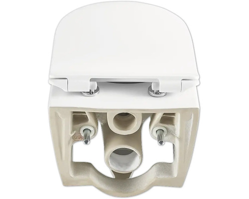 WC ceramic suspendat cu spălare adâncă cu capac de WC