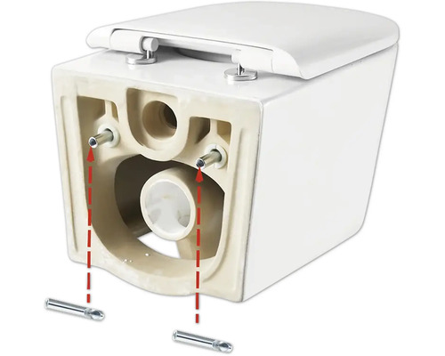 Vas WC suspendat cu spălare profundă cu elemente de montaj