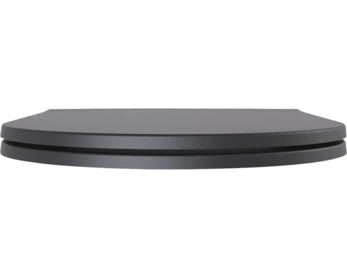 Capac de toaletă din duroplast