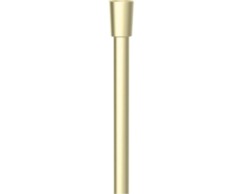 Furtun duș Roca Neo Flex 175 cm auriu periat | HORNBACH