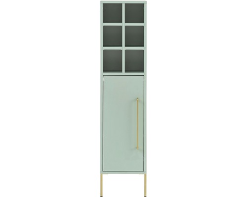 Dulap cu ușă, rafturi și picioare