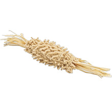 Plantă Lagurus uscată