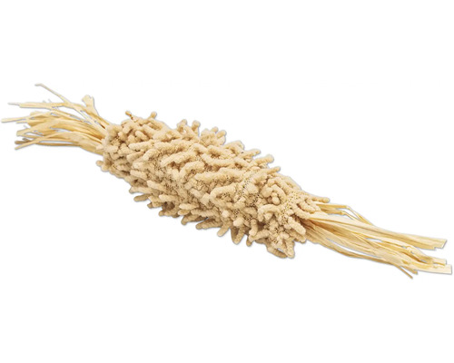 Plantă Lagurus uscată