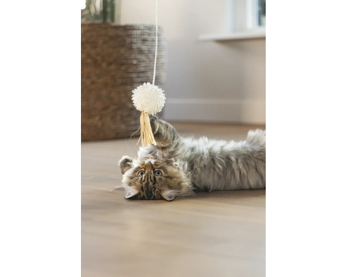 O pisică stă întinsă pe spate și se joacă cu o jucărie.