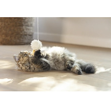 O pisică se joacă cu o minge de jucărie pe o sfoară pe podea.