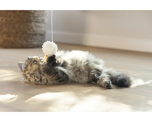 O pisică se joacă cu o minge de jucărie pe o sfoară pe podea.