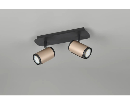 Lumină de tavan cu două spoturi