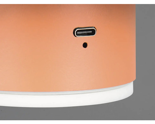 Imagine detaliată a unei lămpi de culoarea teracotei cu port USB-C și buton de resetare