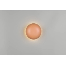 Aplică perete interior cu LED integrat Davey 1,5W 140 lumeni, portocaliu