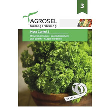 Semințe de pătrunjel de frunză Agrosel PG3