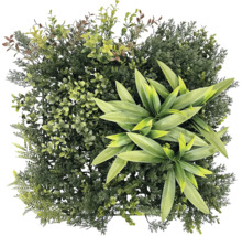 Perete artificial de plante cu diverse ierburi și frunze