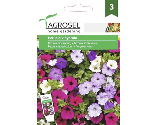 Semințe flori Agrosel petunia pitică mix PG3 Pachet de semințe Petunia Hybrida amestec