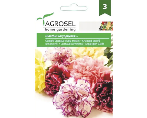 Semințe flori Agrosel garoafe duble Chabaud mix PG3