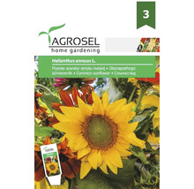 Semințe flori Agrosel floarea soarelui mix PG3