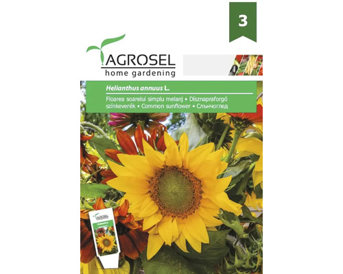 Semințe flori Agrosel floarea soarelui mix PG3 Pachet de semințe amestec de floarea-soarelui Agrosel