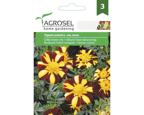 Semințe flori Agrosel crăiţe bicolore pitice PG3 Pachet de semințe pentru crăițe bicolore