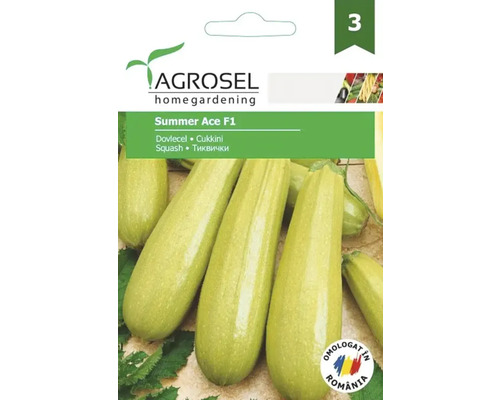 Semințe legume Agrosel dovleac Summer Ace F1 PG3