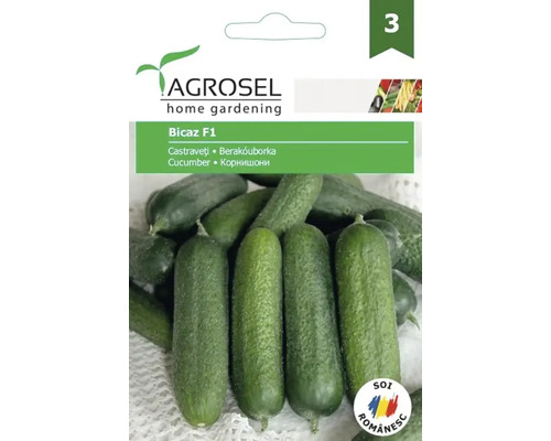 Semințe legume Agrosel castraveți Bicaz F1 PG3 Pachet de semințe de castraveți Agrosel