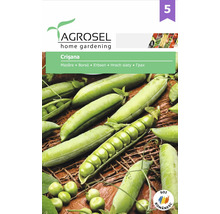 Semințe legume Agrosel mazăre Crişana PG5