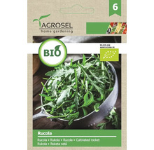 Pachet de semințe de rucola AgroSel pentru grădinărit acasă cu sigiliu bio