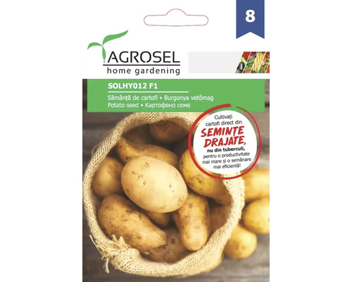 Semințe legume Agrosel cartofi Solhyo12 F1 PG8 Semințe de cartofi Agrosel într-un ambalaj