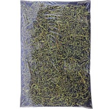 Unitate de ambalare mușchi de pădure pentru decorare