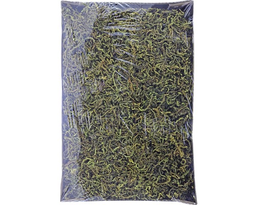 Cutie mușchi decorativ, 200 g, verde