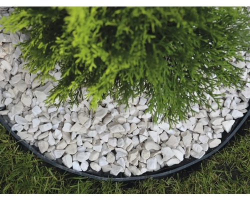 Prim-plan cu o plantă înconjurată de pietriș decorativ alb într-un strat de flori