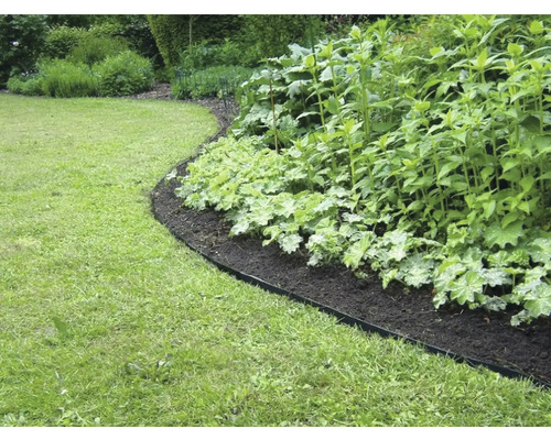 Peisaj de grădină cu margine de gazon și strat de plante