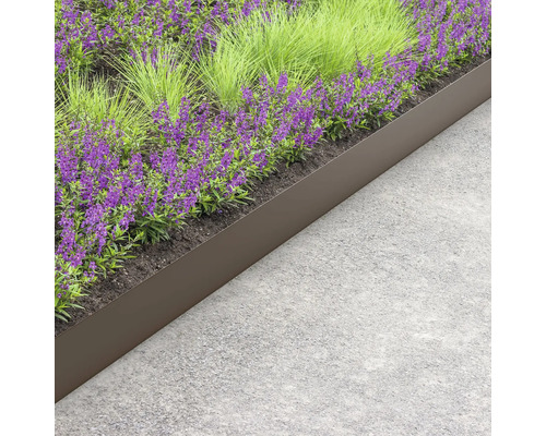 Jardineră înaltă cu plante cu flori și iarbă