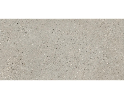 Placă de pardoseală gri cu model pestriț