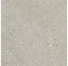 Gresie exterior / interior porțelanată rectificată Breccia bej 60x60 cm