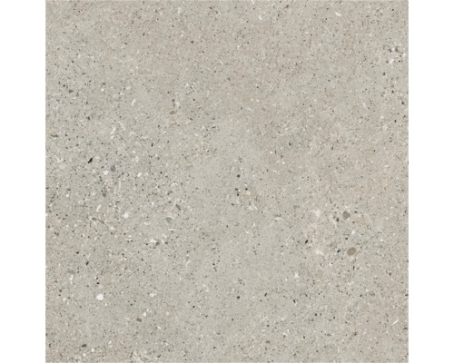 Model de faianță din gresie