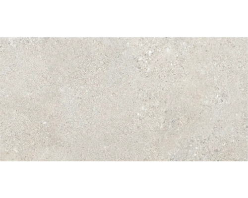 Imagine cu faianță