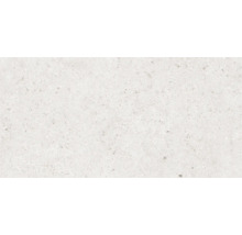Gresie exterior / interior porțelanată rectificată Therme gri 30x60 cm