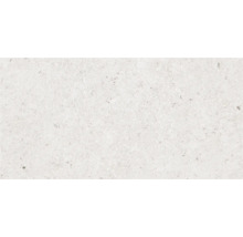 Gresie exterior / interior porțelanată rectificată Therme gri 30x60 cm