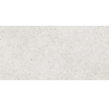 Gresie exterior / interior porțelanată rectificată Therme gri 30x60 cm