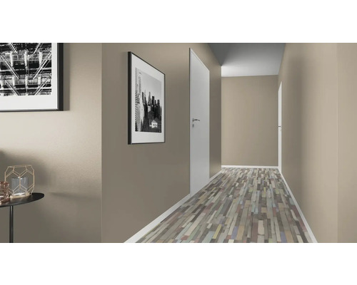 Hol cu tablouri și ușă