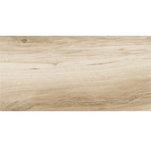 Gresie exterior / interior porțelanată rectificată Legno Classico gri 30x60 cm