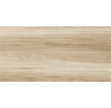 Gresie exterior / interior porțelanată rectificată Legno Classico gri 30x60 cm