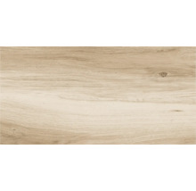 Gresie exterior / interior porțelanată rectificată Legno Classico gri 30x60 cm