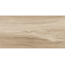 Gresie exterior / interior porțelanată rectificată Legno Classico gri 30x60 cm