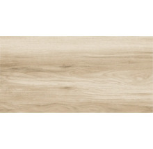 Gresie exterior / interior porțelanată rectificată Legno Classico gri 30x60 cm