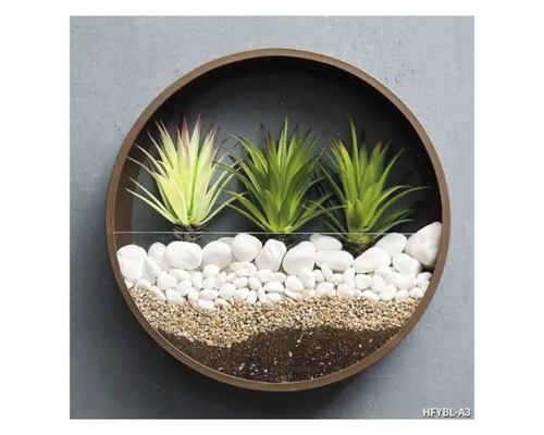 Vază decorativă de perete cu plante suculente, pietre și pământ într-un cadru rotund.