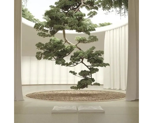 Interior cu copac suspendat, zonă cu pietriș și perdele