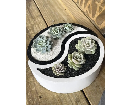 Jardinieră Yin Yang cu suculente pe lemn