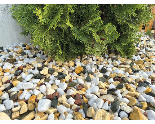 Pietriș decorativ în patul de grădină