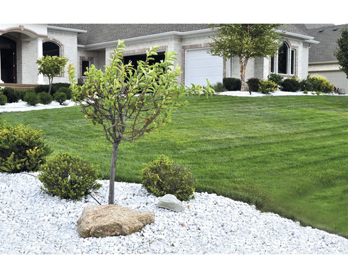 Grădină cu gazon, copaci și pietriș decorativ în fața unei case