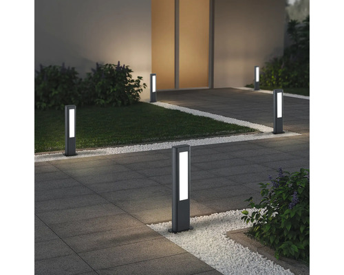 Stâlp pitic cu LED integrat Rhine 11W 1400 lumeni, 50 cm, pentru exterior IP54, antracit